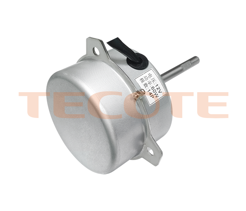 12V, 60W DC motor